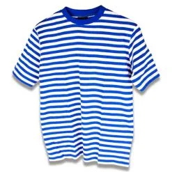 Dorus Kindershirt Blauw/wit Lange Mouw