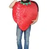 Kostuum Aardbei