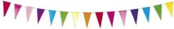 Vlaggenlijn Papier Multi
